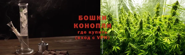 прущие грибы Кинешма