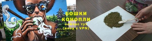 прущие грибы Кинешма