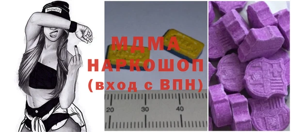 индика Козловка