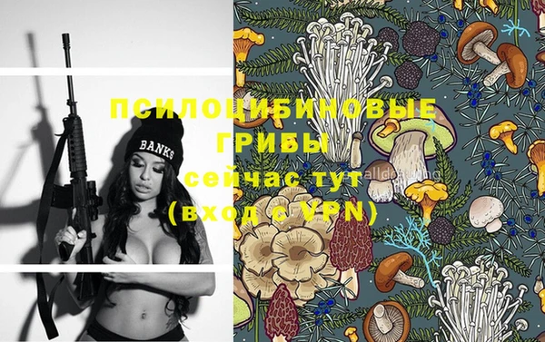 прущие грибы Кинешма