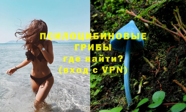 прущие грибы Кинешма