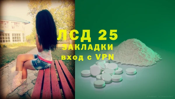 прущие грибы Кинешма