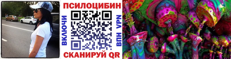 Псилоцибиновые грибы Psilocybe  Купить закладки  Мураши 